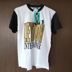 Item thumbnail for item 832c1549-ae6c-40a0-b430-c42efa2b6001