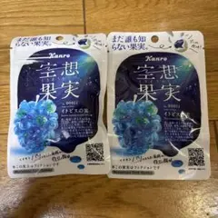 Kanro 空想果実 イトピスの実 グミ 2袋セットのサムネイル