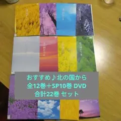 藤原さくら　sakura fujiwara　red　green　レコード　２枚 sakura fujiwara green red レコードセット 藤原さくら - メルカリ