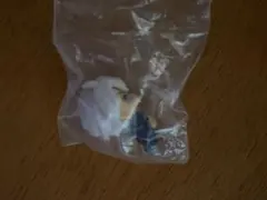 アズール・アーシェングロット