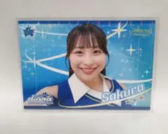 Item thumbnail for item ea369017-b539-41b5-aa80-3792dd5d9bb6