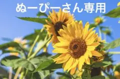 専用ページになります。