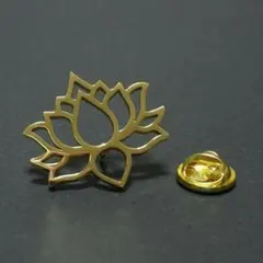 チューリップ フラッシュポイント ネコポス 生花 - メルカリ