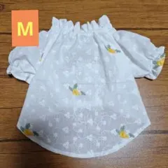 ハンドメイド犬服　ギャザーブラウス　コットンレース　刺繍　M