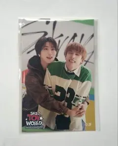 SKZ TOY WORLD オンラインくじ Ｅ賞