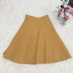 8526 アプワイザーリッシェ フレアスカート シンプル カジュアル ベーシック