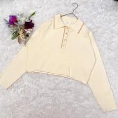 【MOUSSY/マウジー】クリーム色 ポロシャツ 長袖ニット(F)ゆったりのサムネイル