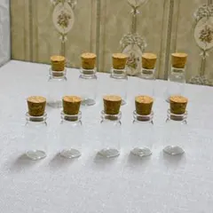 【255】小瓶 10個 コルク蓋