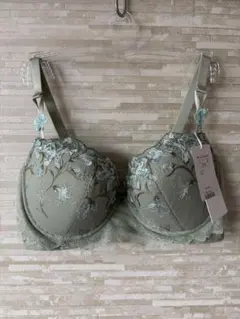 E75」トリンプ プレミアム レッドレーベル カーネーションの花 ブラジャー