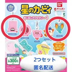 星のカービィ めじるしアクセサリー3 2つセット