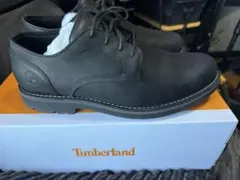 最終値下げ Timberlandティンバーランド 本革レザー シューズ28㎝