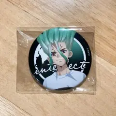 Dr.STONE 石神千空 カジノディーラー 場面写缶バッジ - メルカリ
