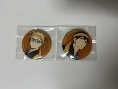 ハイキュー 缶バッジ 2個セット 烏野
