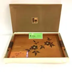 Item thumbnail for item 12d263d1-cec7-40f1-b616-ac23682d248a