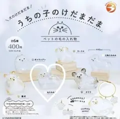 うちの子けだまだま　犬のけだまだま　丸たれみみ