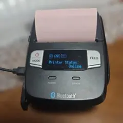 Star Micronics モバイルプリンター 本体　中古品