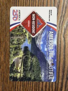 America the Beautiful 非居住者年間パス グランドキャニオンのサムネイル