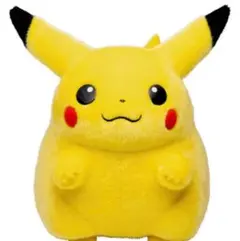 ポケモン30周年記念おかえり!ピカチュウ1/1