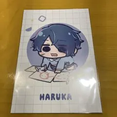 2026年最新】ミルグラム ハルカの人気アイテム - メルカリ