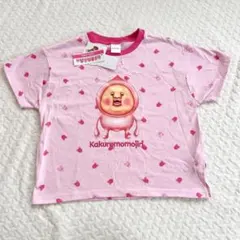 新品タグ付　こびとづかん 【120】　カクレモモジリ 半袖Tシャツのサムネイル