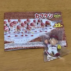 2026年最新】カプケシの人気アイテム - メルカリ