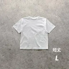 短丈Tシャツ アーカイブ USストリート 白L