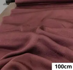 843 難色！正絹はぎれ 小豆色系 模様織柄生地 100cm