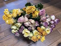 リー様 リクエスト 2点 まとめ商品