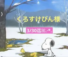 くろすけびん様 専用ページ