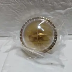 セカライ5th RIN リングライト