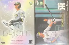 Item thumbnail for item e3999926-8d4a-4e4f-81d4-4c96bdbd6b46