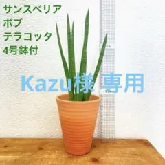 Kazu様 リクエスト 4点 まとめ商品