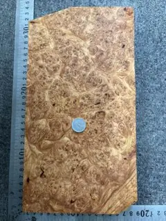 Item thumbnail for item 29d72a86-ef79-48da-9d97-70833bae7fa3