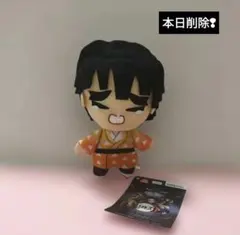 本日削除●鬼滅の刃　我妻善逸　黒髪