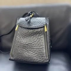 【美品】ハイセンスアンドオリジナル　ブラック　オーストリッチ2wayリュックのサムネイル