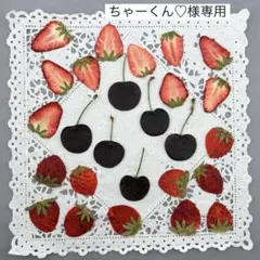 押しフルーツ♡ ちゃーくん♡様専用♡