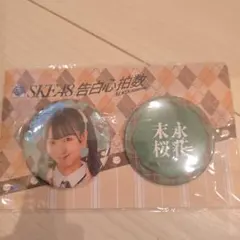 Item thumbnail for item 1f1fdc80-d1e7-4a9b-b38b-b39fc9ed6862