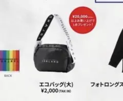 JSB LAND エコバッグ　三代目JSB