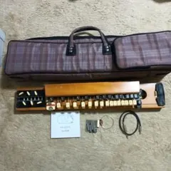 極美品】ライリッシュ 大正琴 LPS50 付属品付 - メルカリ