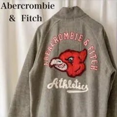 Abercrombie & Fitch ダメージ加工 刺繍 ヴィンテージ