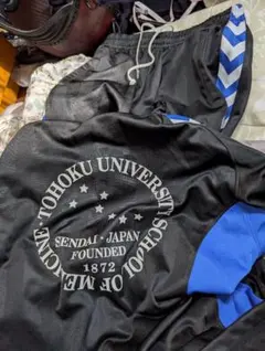 Item thumbnail for item d009fe7b-886d-4566-83df-8946d2783d6b