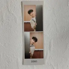 SEVENTEEN　carat land ケレン　2カットフォト　ディノ