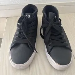 POLOスニーカー22.5