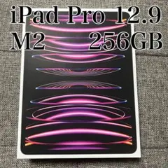 【訳あり】iPad Pro 12.9 第6世代 256GB スペースグレー