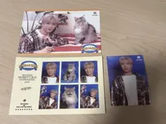 MAZZEL HAYATO ANIMAZZEL あにまーぜる アニマーゼル - メルカリ