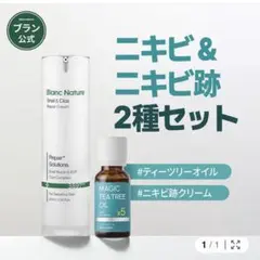 Item thumbnail for item d810951c-0a5b-40bc-beb6-8db690cfc19e