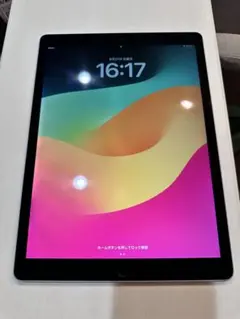 Apple iPad Pro 12.9インチ 第2世代 本体