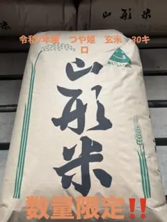 新米】島根県産つや姫30kg玄米 R8年産 - メルカリ