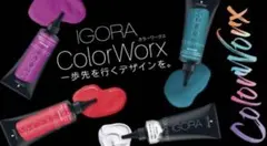 シュワルツコフ 24本 イゴラ カラーワーク ColorWorx 塩基性カラー