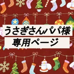 最終⭐️B-③クリスマス 生地 約50㎝×110㎝ 赤 金